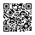 To view this 2008 Hyundai Santa Fe Quakertown PA from Advantage Auto Sales & Credit | Bad Credit Auto Loans Quakertown PA, please scan this QR code with your smartphone or tablet to view the mobile version of this page.